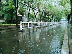 雨季三部曲txt下载(雨季三部曲txt下载奇书网)